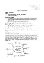 Konspekts 'Stundas plāns latviešu valodā - "Vārda sastāvs"', 1.