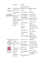 Konspekts 'Estētisko un skaistumkopšanas pakalpojumu sniedzēju industrijas analīze', 24.