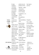 Konspekts 'Estētisko un skaistumkopšanas pakalpojumu sniedzēju industrijas analīze', 25.