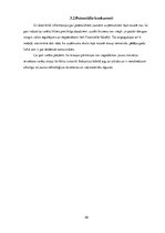 Konspekts 'Estētisko un skaistumkopšanas pakalpojumu sniedzēju industrijas analīze', 28.