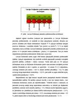 Diplomdarbs 'Latvijas Krājbanka', 77.