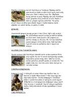 Konspekts 'Austrālija, Freizera sala, ievērojamākie dzīvnieki un augi', 3.