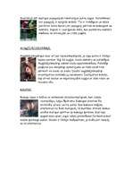 Konspekts 'Austrālija, Freizera sala, ievērojamākie dzīvnieki un augi', 4.