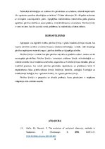 Referāts 'Pārtikas ķīmiķis', 8.