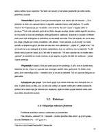 Referāts 'Personas attīstība un socializācijas process', 16.