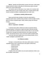 Referāts 'Personas attīstība un socializācijas process', 17.