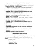 Referāts 'Personas attīstība un socializācijas process', 18.