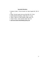 Referāts 'Šķeltņu runa', 12.