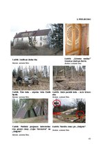 Diplomdarbs 'Gaiziņkalna dabas parka tūrisma uzņēmumu darbība un attīstības iespējas', 43.