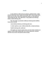 Referāts 'Mārketinga plāns', 3.