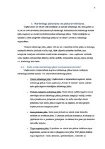 Referāts 'Mārketinga plāns', 4.
