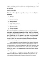 Referāts 'Mārketinga plāns', 9.