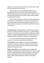 Referāts 'Mārketinga plāns', 10.