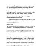 Referāts 'Mārketinga plāns', 11.