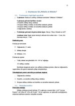 Referāts 'Mārketinga plāns', 12.