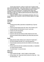 Referāts 'Mārketinga plāns', 13.