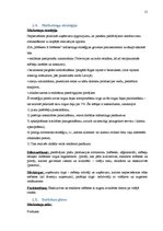 Referāts 'Mārketinga plāns', 15.