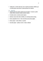 Referāts 'Mārketinga plāns', 17.