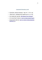 Referāts 'Mārketinga plāns', 18.