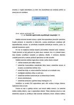 Diplomdarbs 'Efektīvas kontroles organizēšana kapitālsabiedrībā', 32.