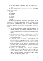 Diplomdarbs 'Efektīvas kontroles organizēšana kapitālsabiedrībā', 56.
