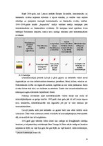 Referāts 'Viendzimma laulības mūsdienu Eiropā', 18.
