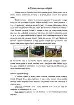 Referāts 'Tūrisma industrija Gulbenes rajonā un Gulbenē', 6.