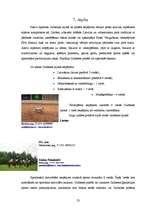 Referāts 'Tūrisma industrija Gulbenes rajonā un Gulbenē', 23.