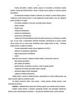 Prakses atskaite 'SIA "RC" finanšu analīze un finansiāla plāna izstrāde', 6.