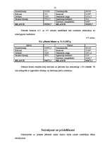 Prakses atskaite 'SIA "RC" finanšu analīze un finansiāla plāna izstrāde', 22.