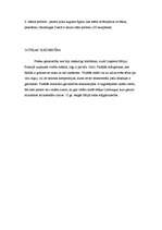 Referāts 'Gotika', 3.