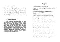 Konspekts 'Krustabas', 4.