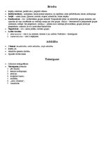 Konspekts 'Komercdarbības ētika', 3.