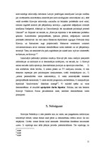Referāts 'Demokrātijas problēmas Krievijā Vladimira Putina prezidentūras laikā', 15.