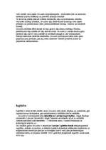 Referāts 'Grindex', 5.