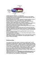 Referāts 'Grindex', 8.