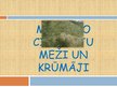 Prezentācija 'Mūžzaļo cietlapju meži un krūmāji', 1.