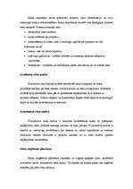 Konspekts 'Projekta vērtēšana', 3.