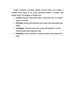 Konspekts 'Projekta vērtēšana', 4.