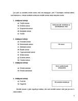 Referāts 'Tiesību normas sociālo normu sistēmā', 6.