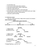 Referāts 'Tiesību normas sociālo normu sistēmā', 14.