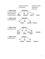 Referāts 'Tiesību normas sociālo normu sistēmā', 15.