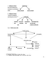Referāts 'Tiesību normas sociālo normu sistēmā', 16.