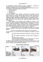 Diplomdarbs 'NBS apakšvienību mobilitātes paaugstināšanas iespējas', 10.