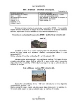 Diplomdarbs 'NBS apakšvienību mobilitātes paaugstināšanas iespējas', 19.