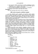 Diplomdarbs 'NBS apakšvienību mobilitātes paaugstināšanas iespējas', 30.