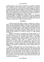 Diplomdarbs 'NBS apakšvienību mobilitātes paaugstināšanas iespējas', 45.