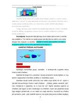 Referāts 'Stress kā viens no darbību efektivitāti ietekmējošiem faktoriem biroja darbā', 3.