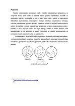 Referāts 'Fizikālā materiālzinība', 22.