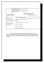 Referāts 'Tūrisms', 5.